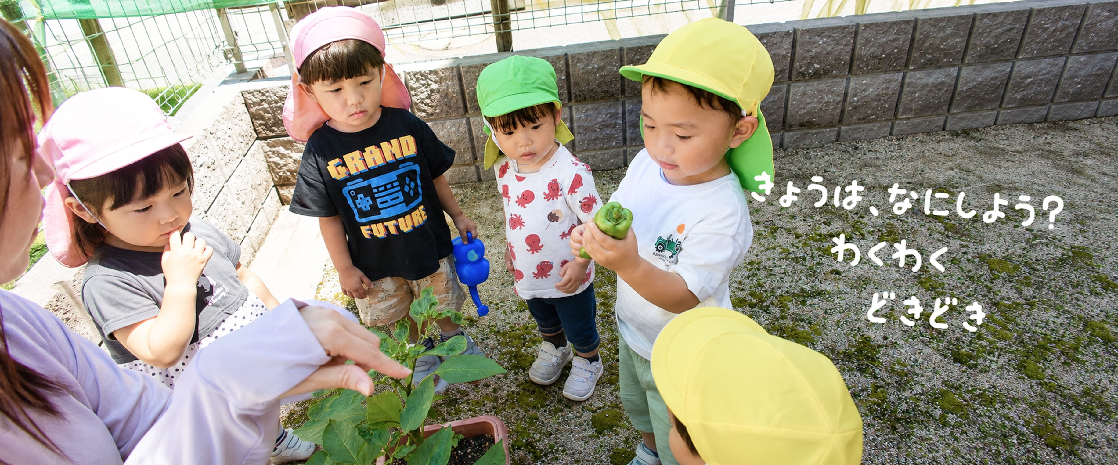 野菜の成長を観察する園児たち